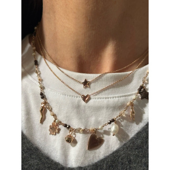 whatsapp_image_2025-11-10_at_11_56_19