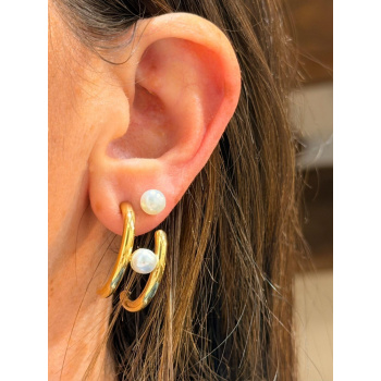 whatsapp_image_2026-02-12_at_15_30_52