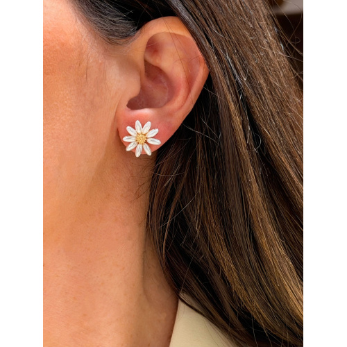 whatsapp_image_2026-02-05_at_11_37_27