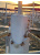 whatsapp_image_2025-05-27_at_11_36_41-4