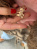 whatsapp_image_2025-01-24_at_13_00_29_738313262
